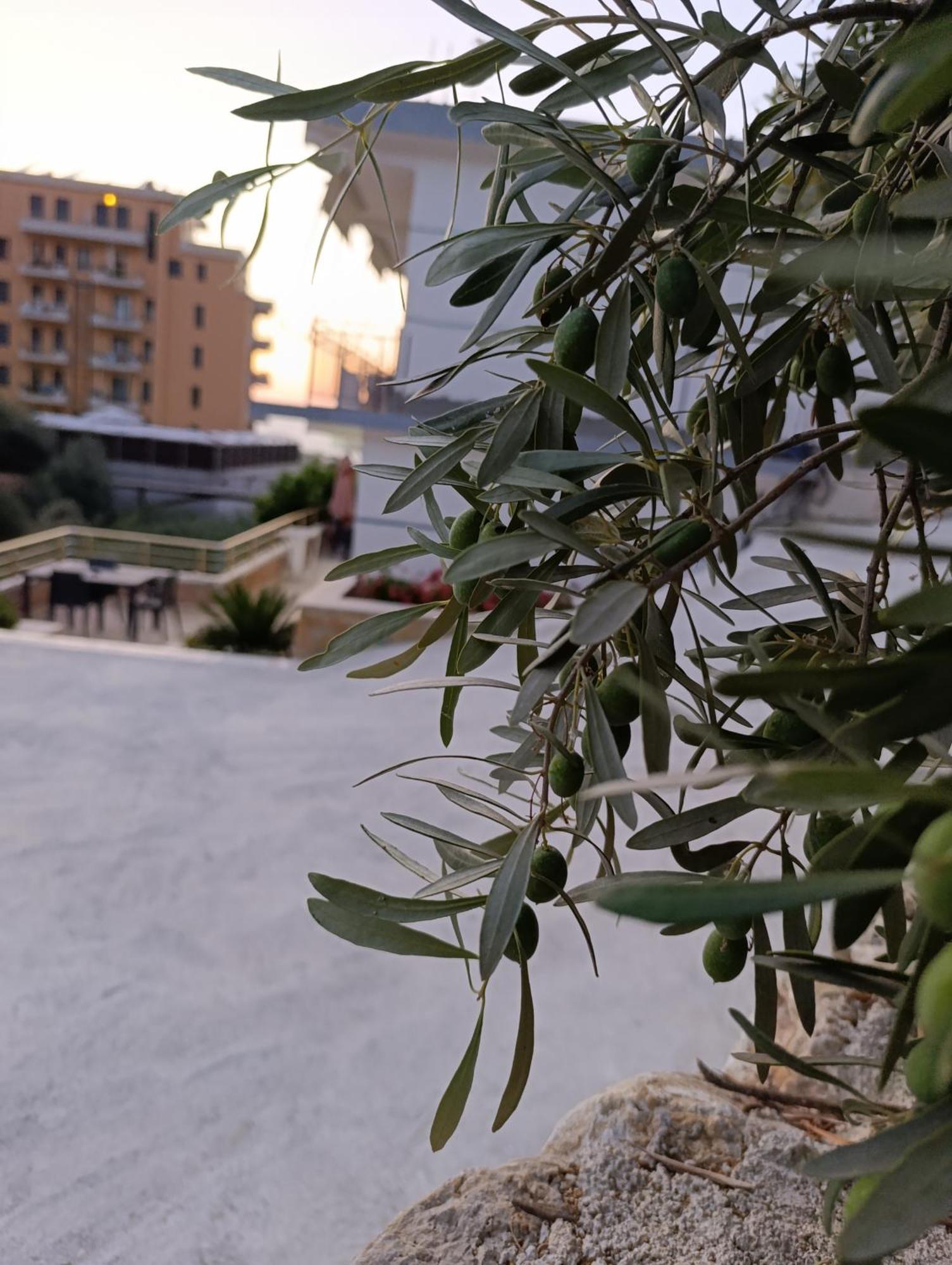 Sole * Vlorë